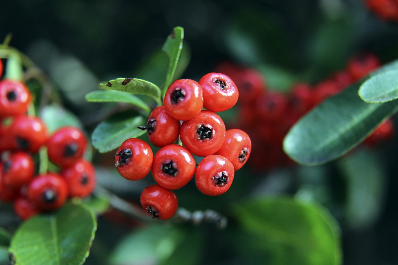 从而增加他 从而增加他