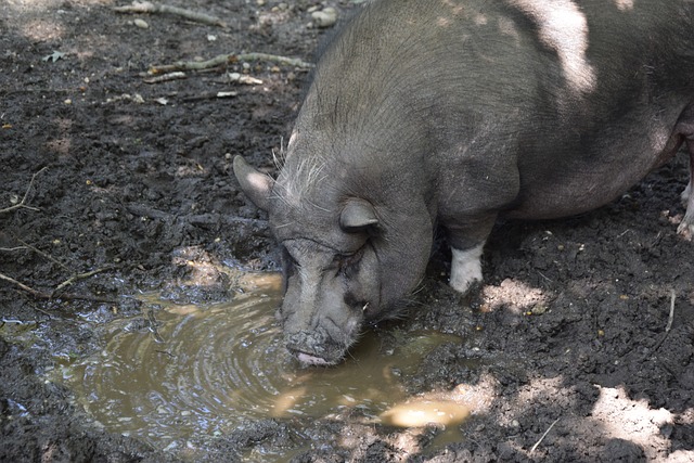 了生产效率 了生产效率