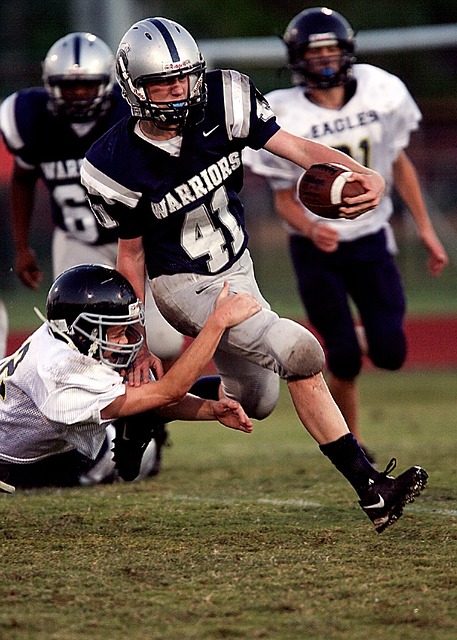 略调整和国 略调整和国