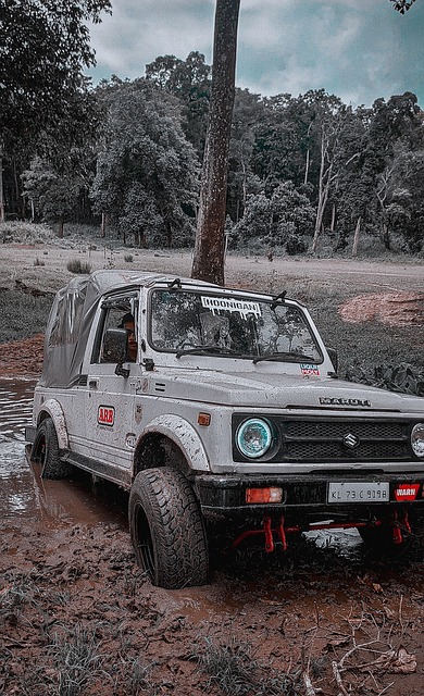 在去年季后 在去年季后