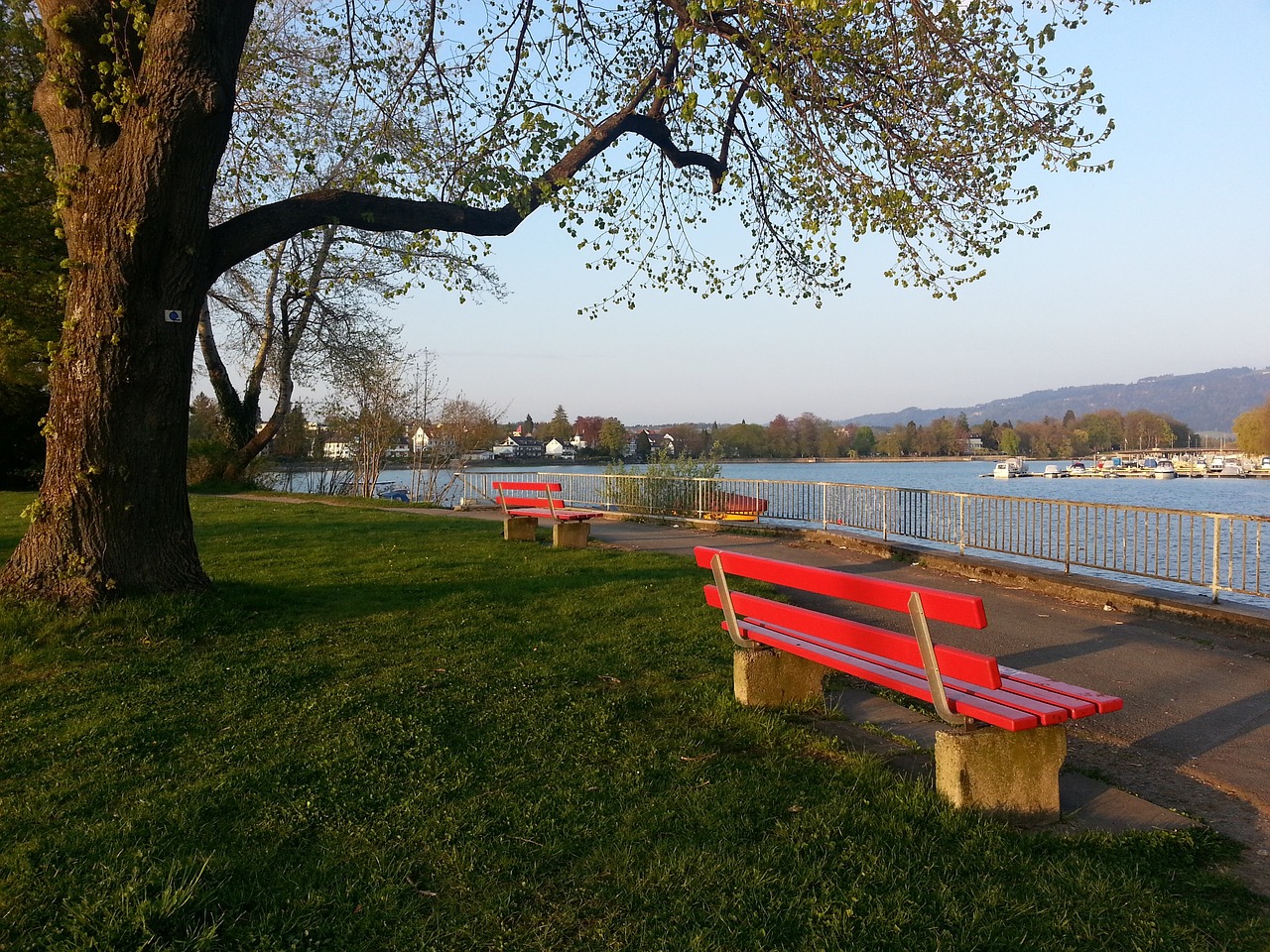 篮命中率 篮命中率